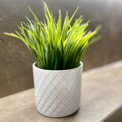 Artificial Plants